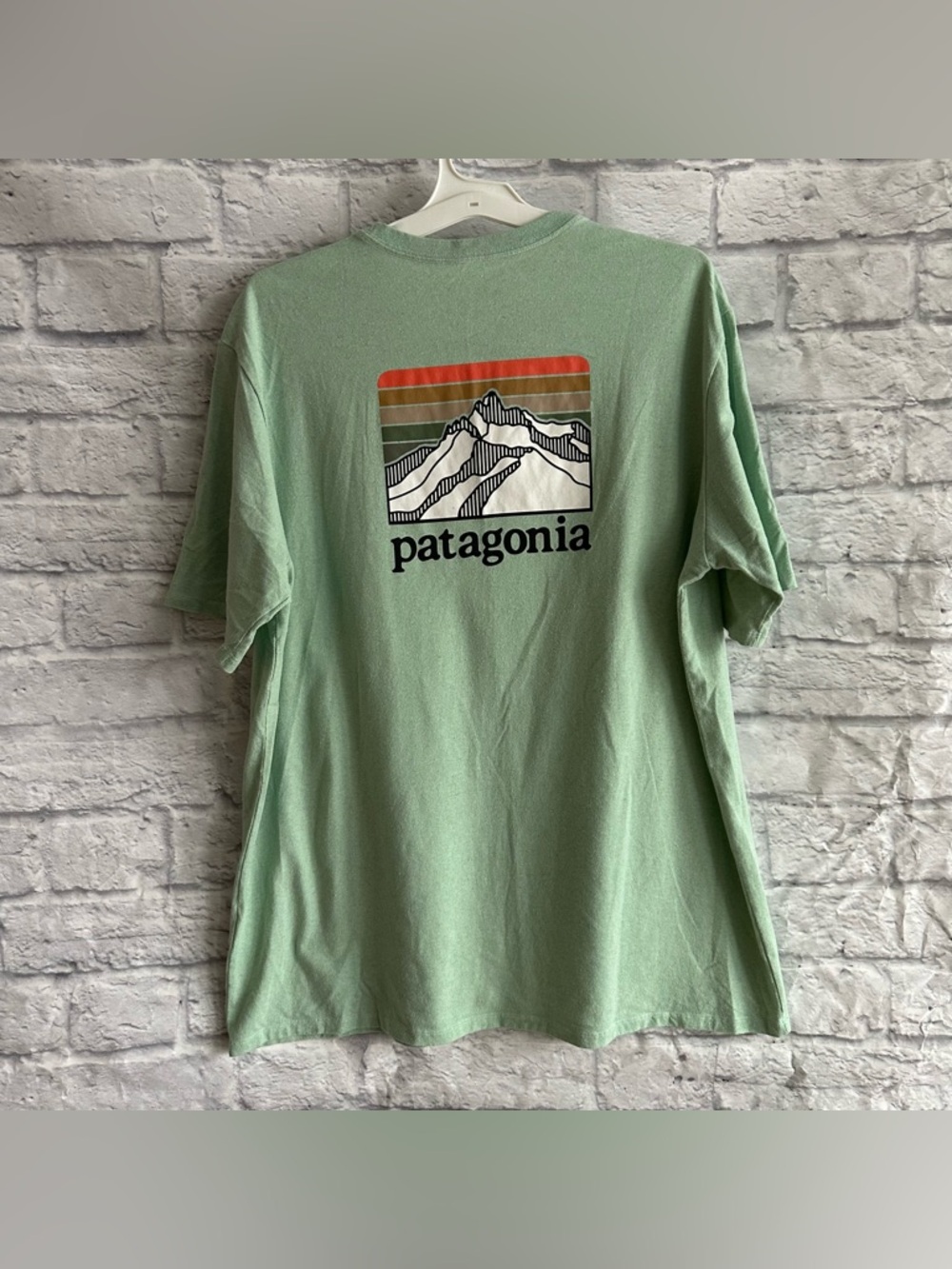 PREOWNED PATAGONIA MENS SHORT SLEEVE GREEN LOGO BACK TSHIRT SIZE XL